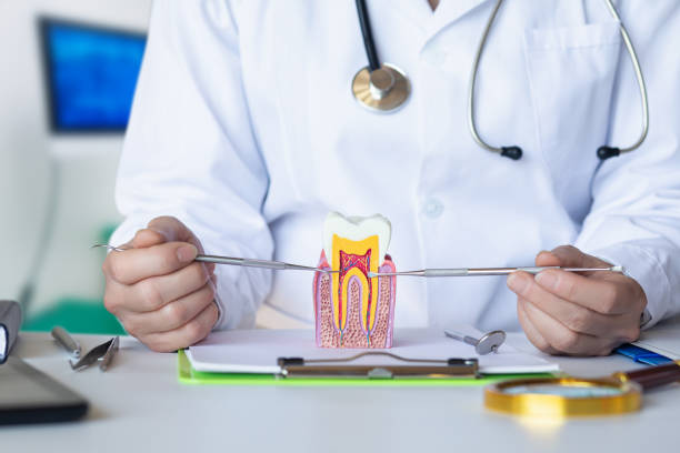 Best Tooth Pain Emergency Relief  in Mauldin, SC